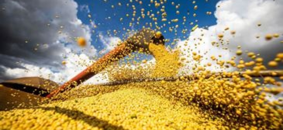 Brasil atinge novo recorde com 350 milhes de toneladas de gros